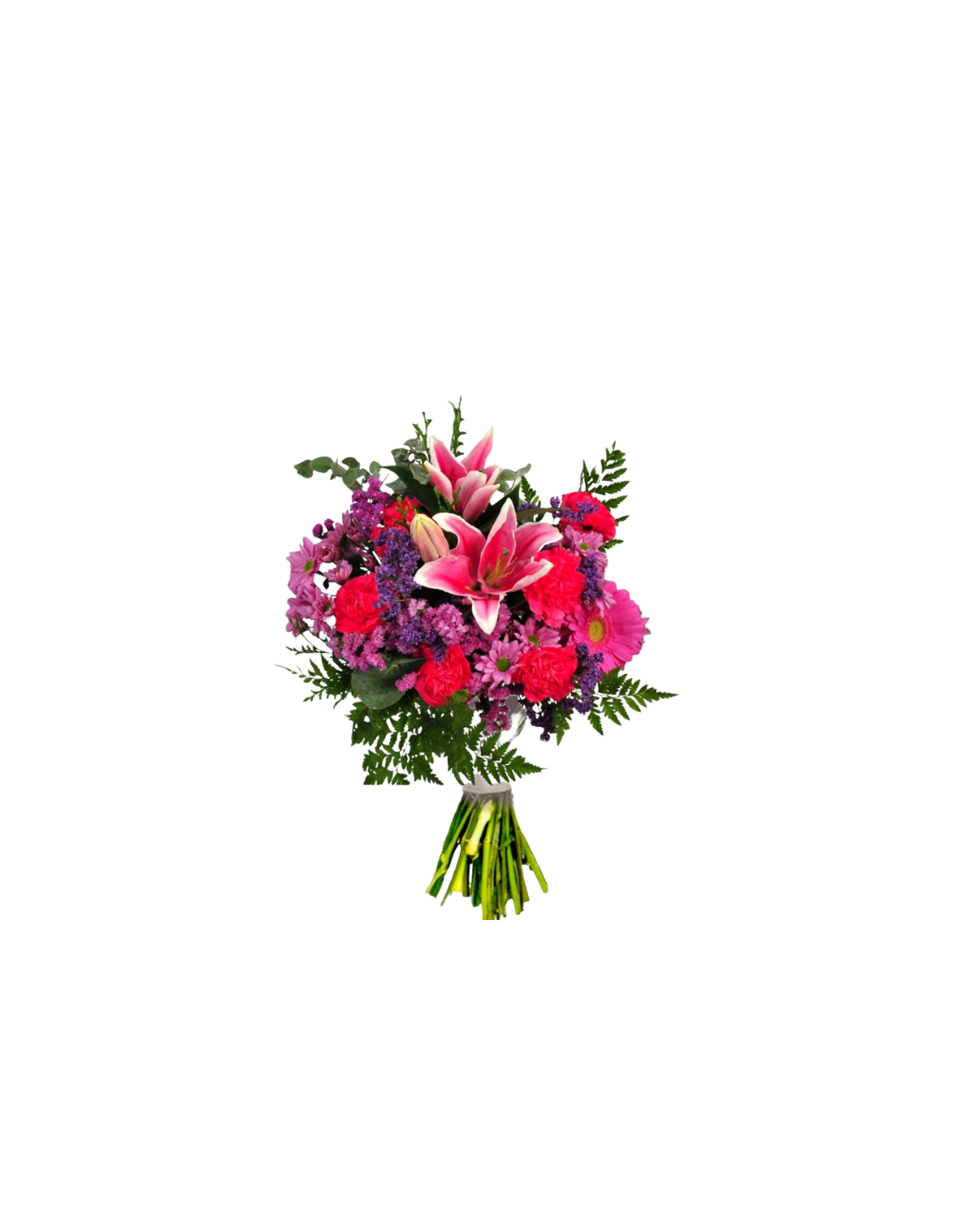Fucsia