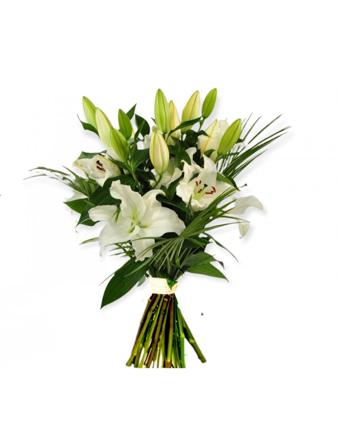 Oriental blanco